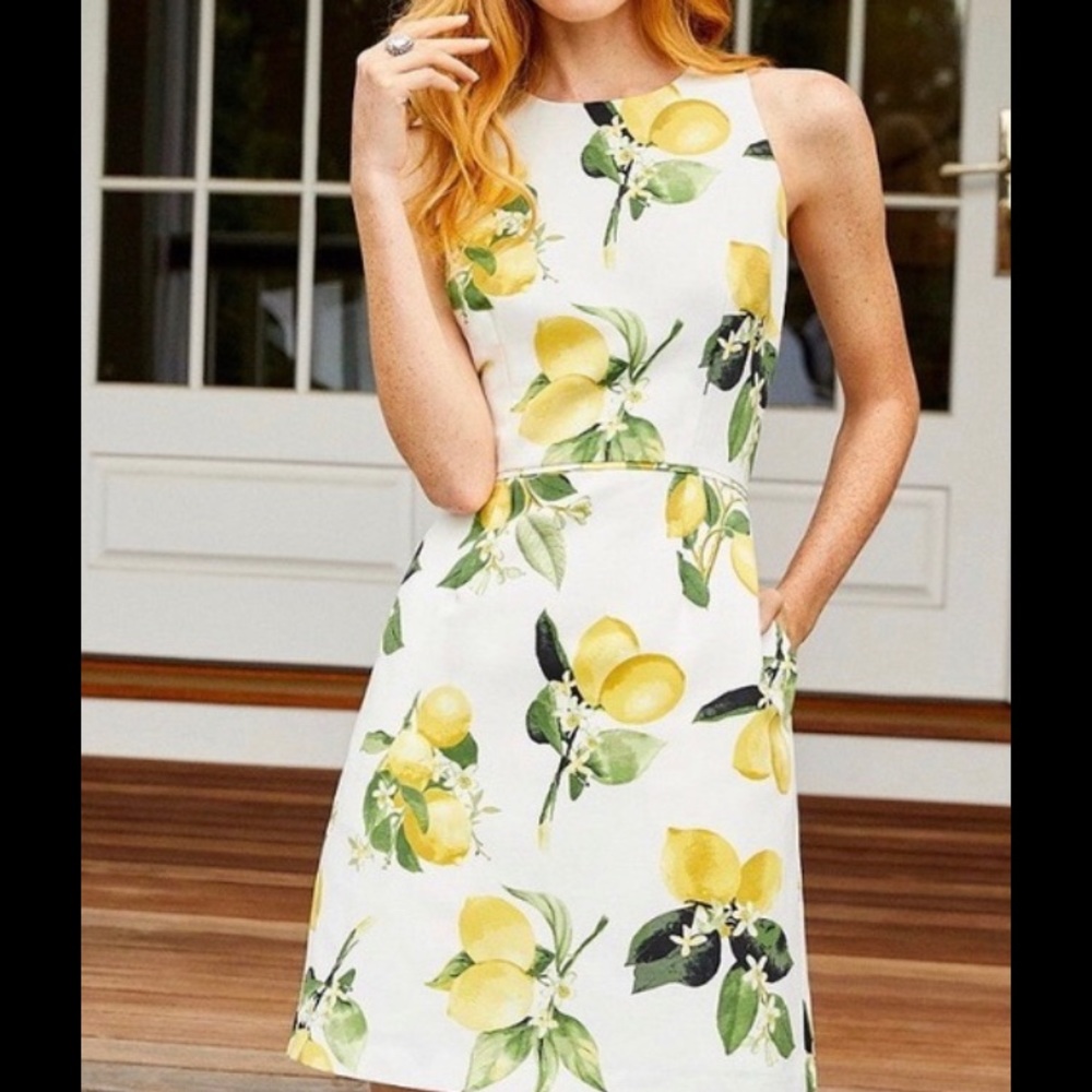 NWT Adrianna Papell Lemon Print A-Line Dress